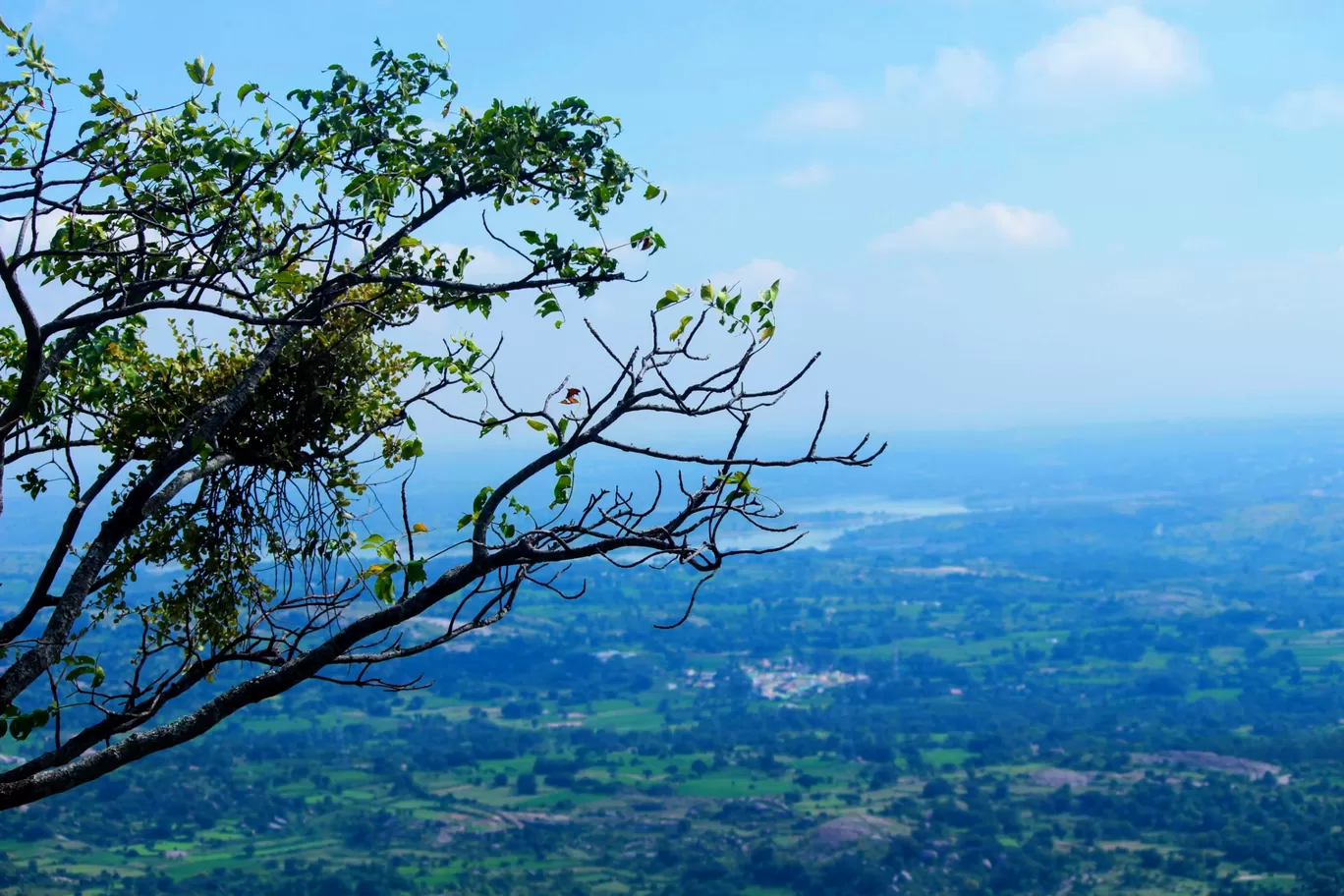Photo of Savanadurga State Forest By Nithin Dsouza