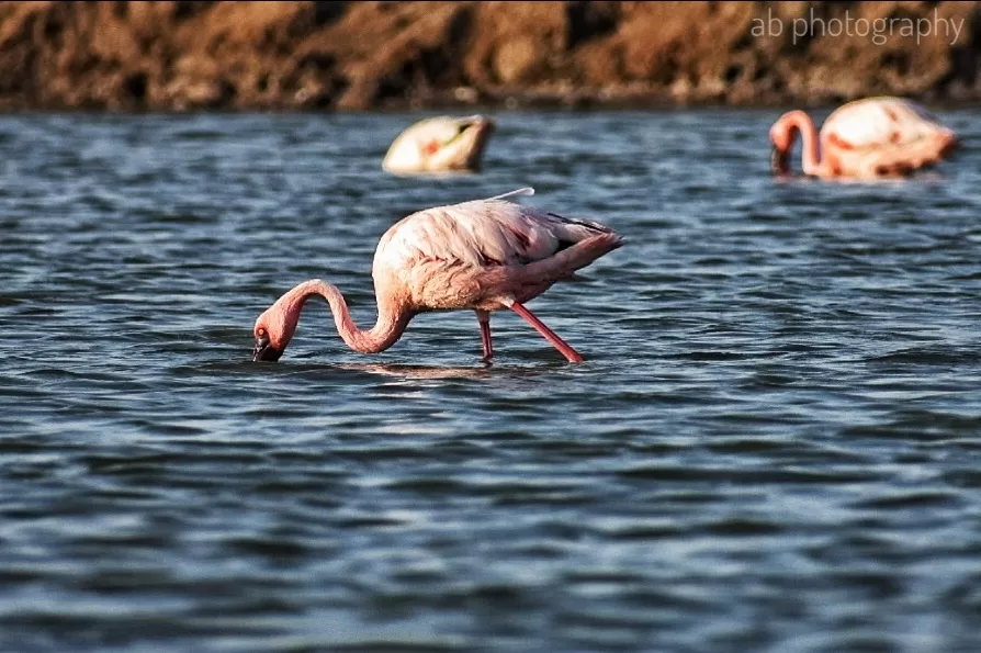 Photo of Jamnagar By Abhiraj Rathore 