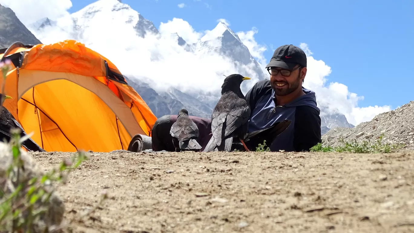 Photo of Gaumukh Tapovan trek By Aditya rawat