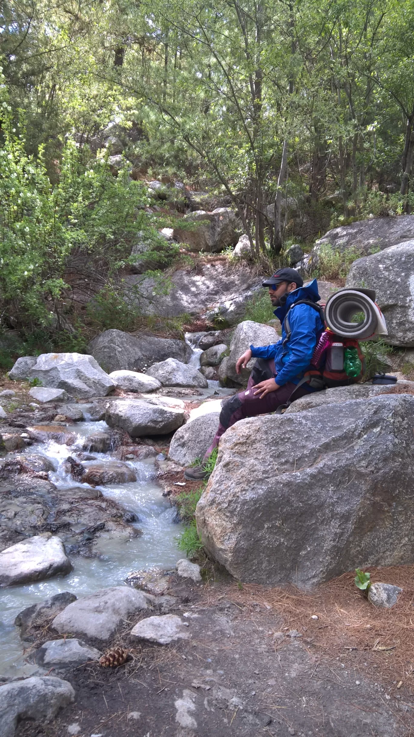 Photo of Gaumukh Tapovan trek By Aditya rawat