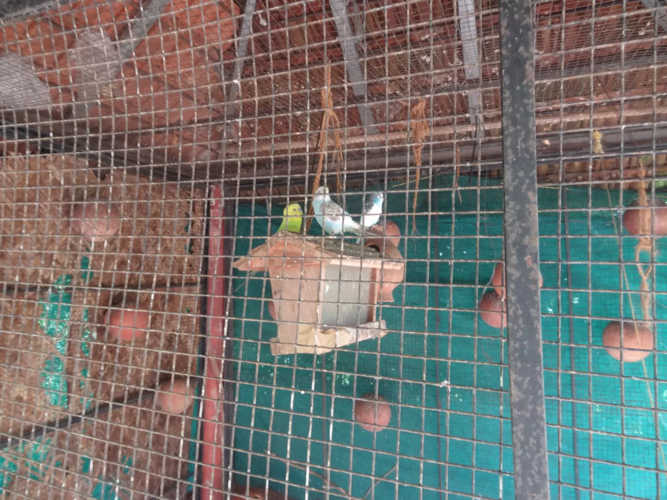 Photo of Ente Veedu By Prasath C S