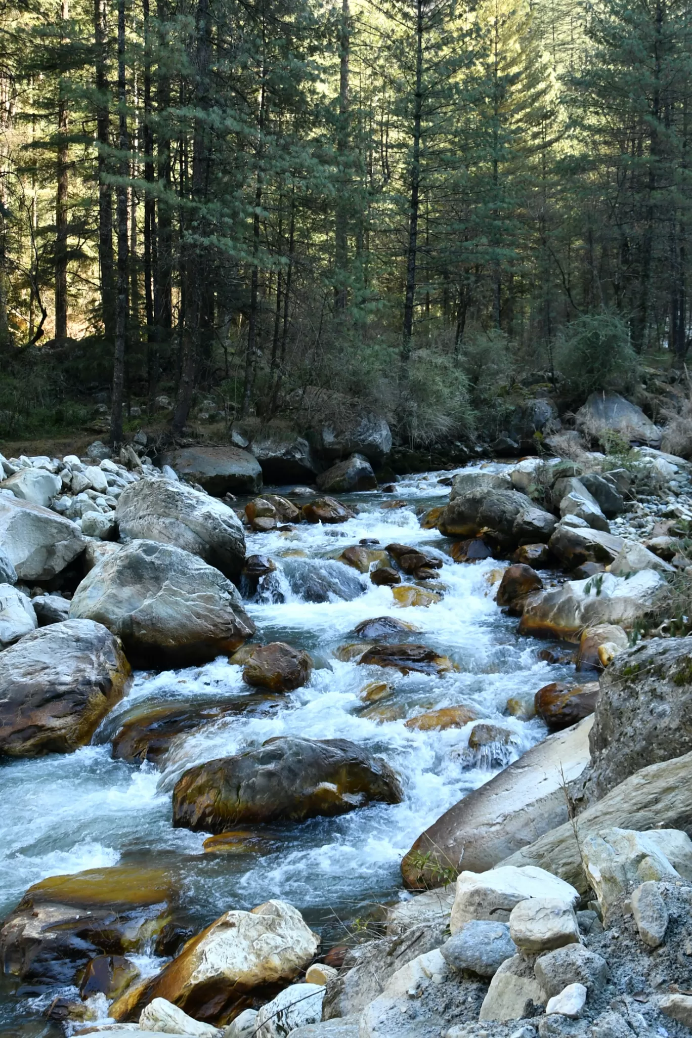 Photo of Kasol By Sree Raj