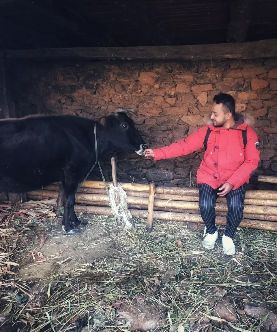 Photo of Ilam By Ra Basnet