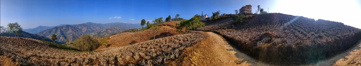 Photo of Ilam By Ra Basnet