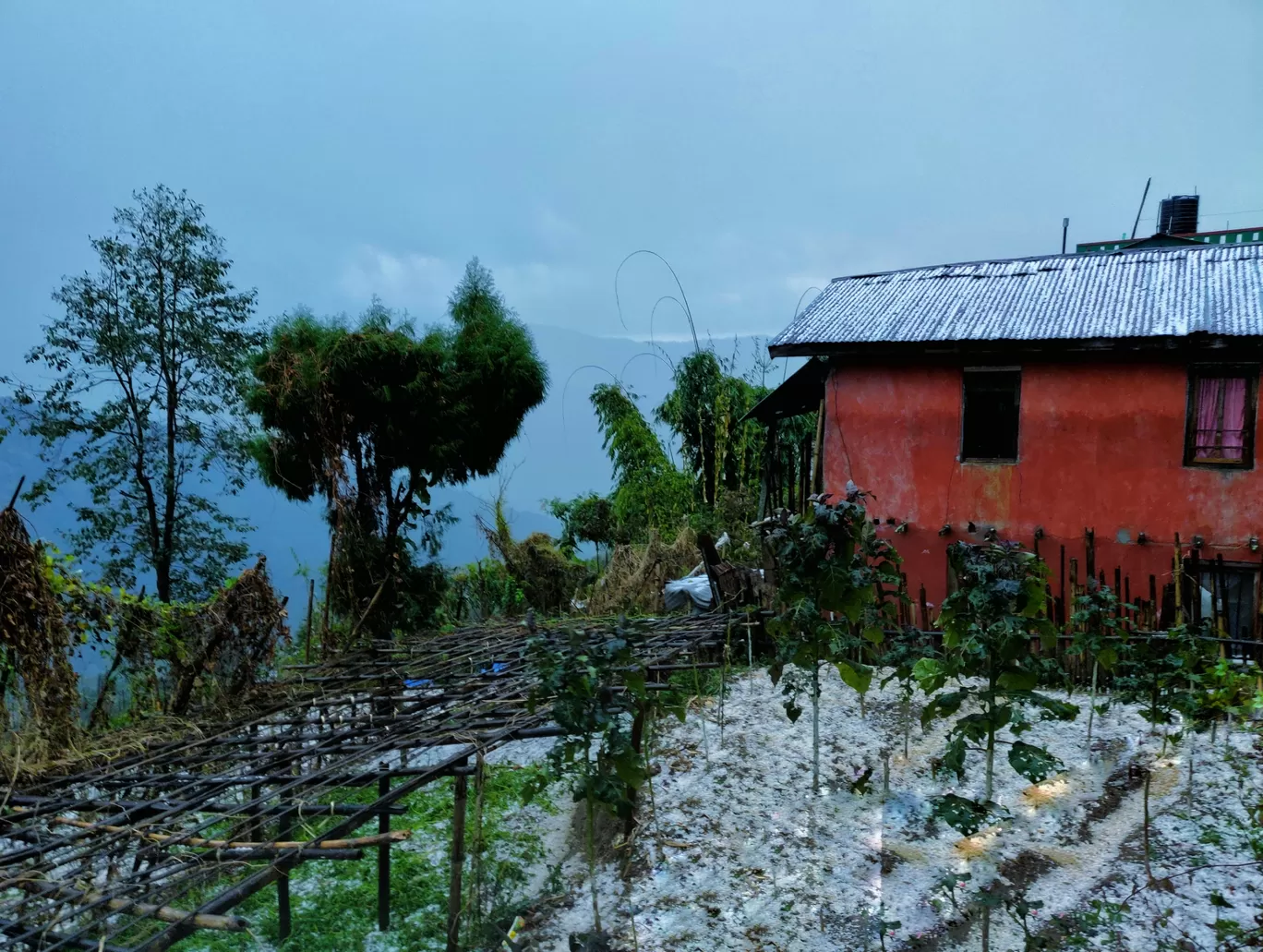 Photo of Ilam By Ra Basnet