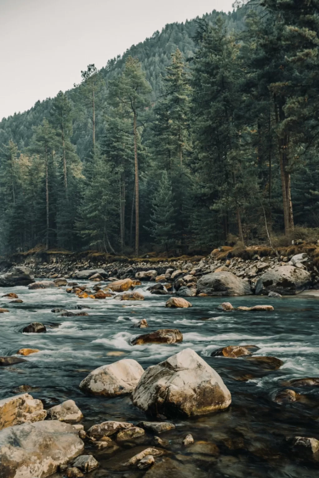 Photo of Kasol By Harshit Kukreja