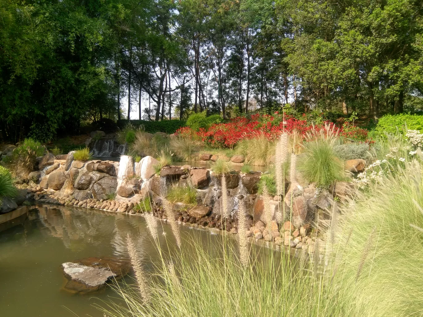 Photo of Pune-Okayama Friendship Garden By Shubham Poplai