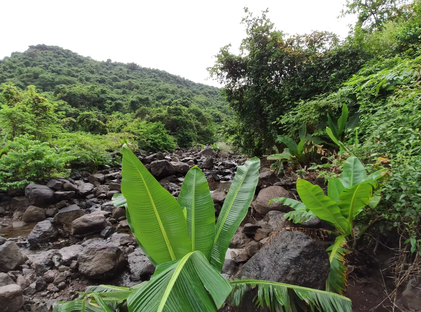 Photo of Vikatgad Peb Fort By Shubham Poplai