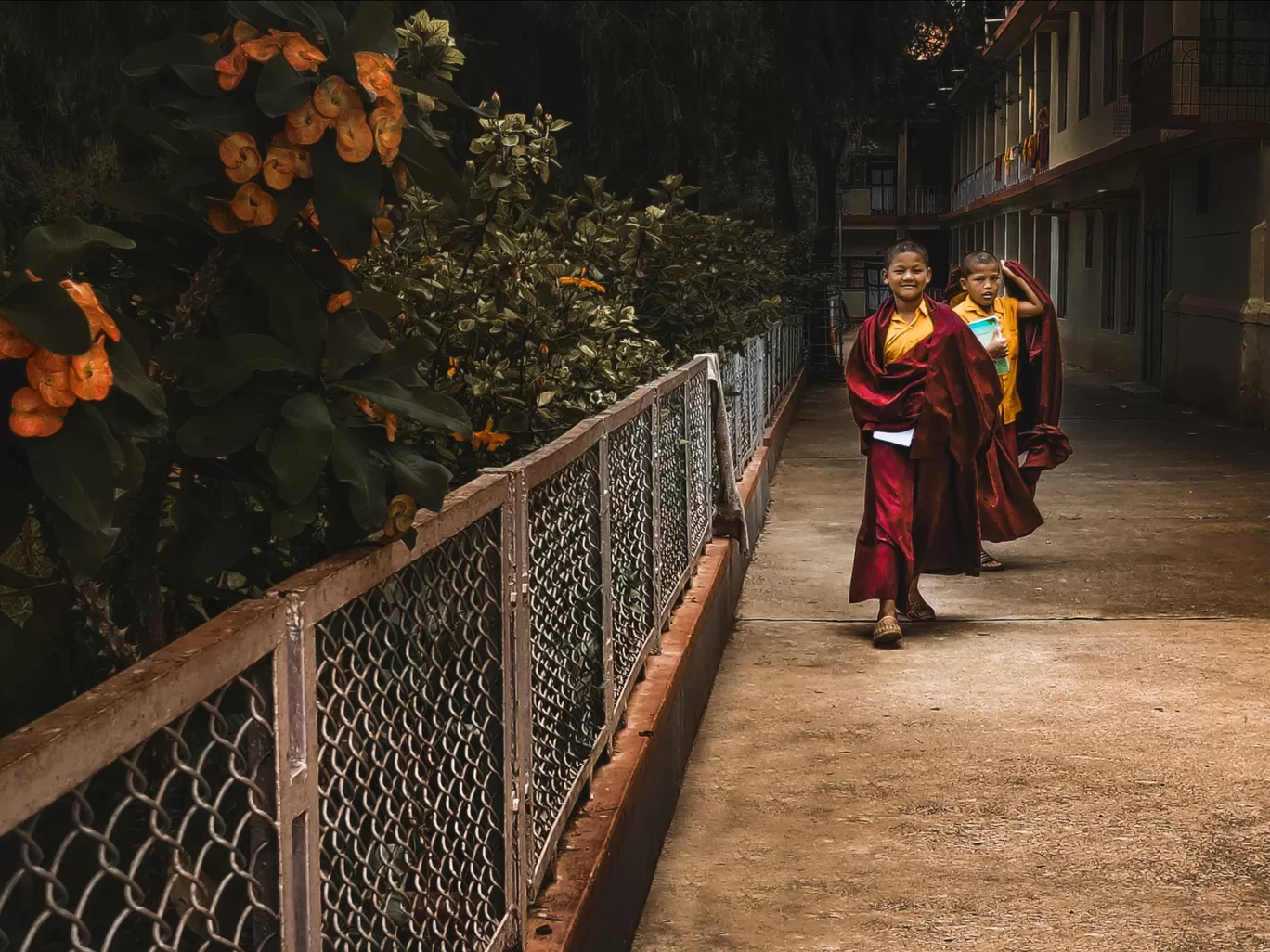Photo of Namdroling Monastery Golden Temple By Swati Bhingare