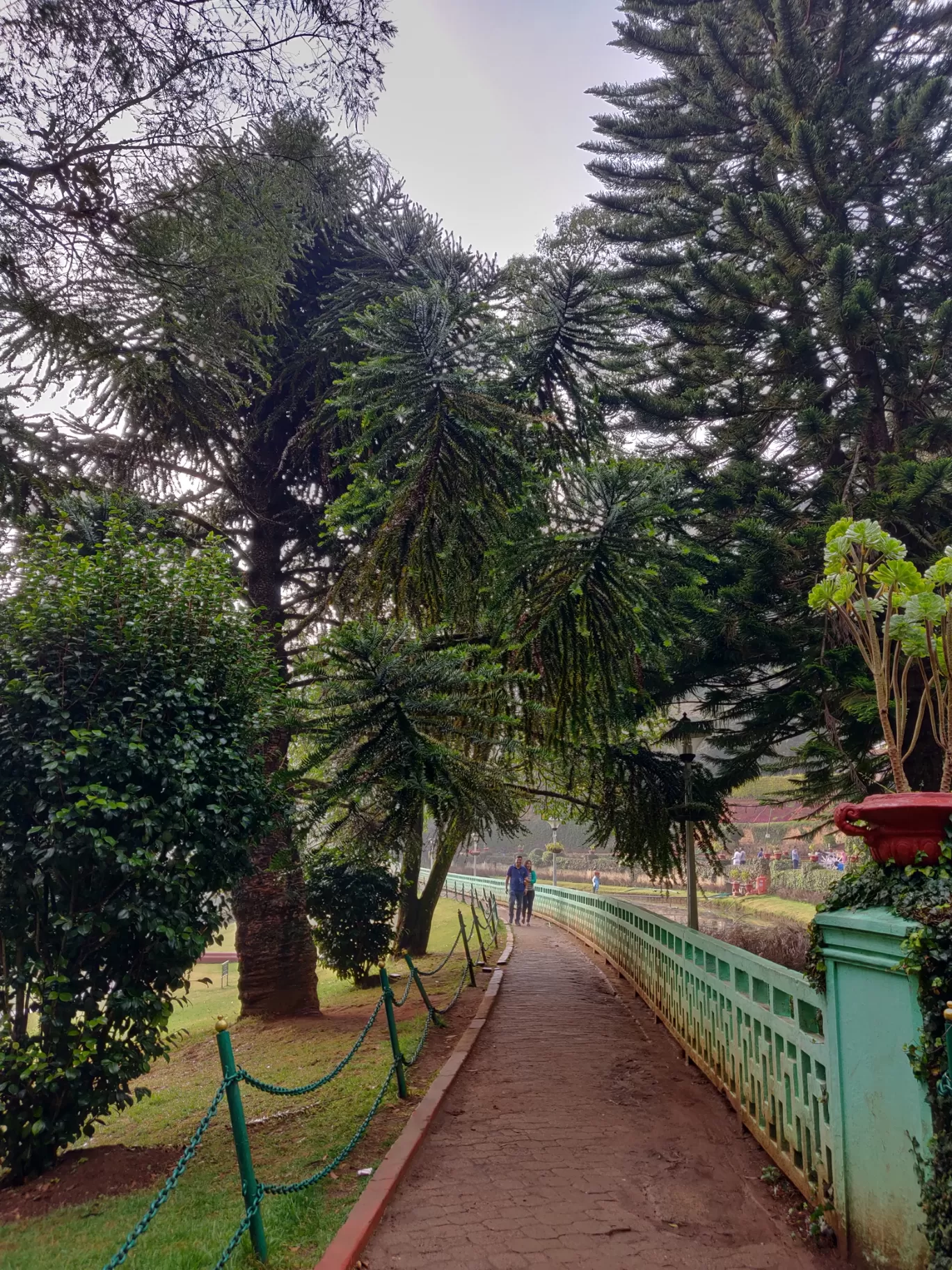 Photo of Ooty By Govind A