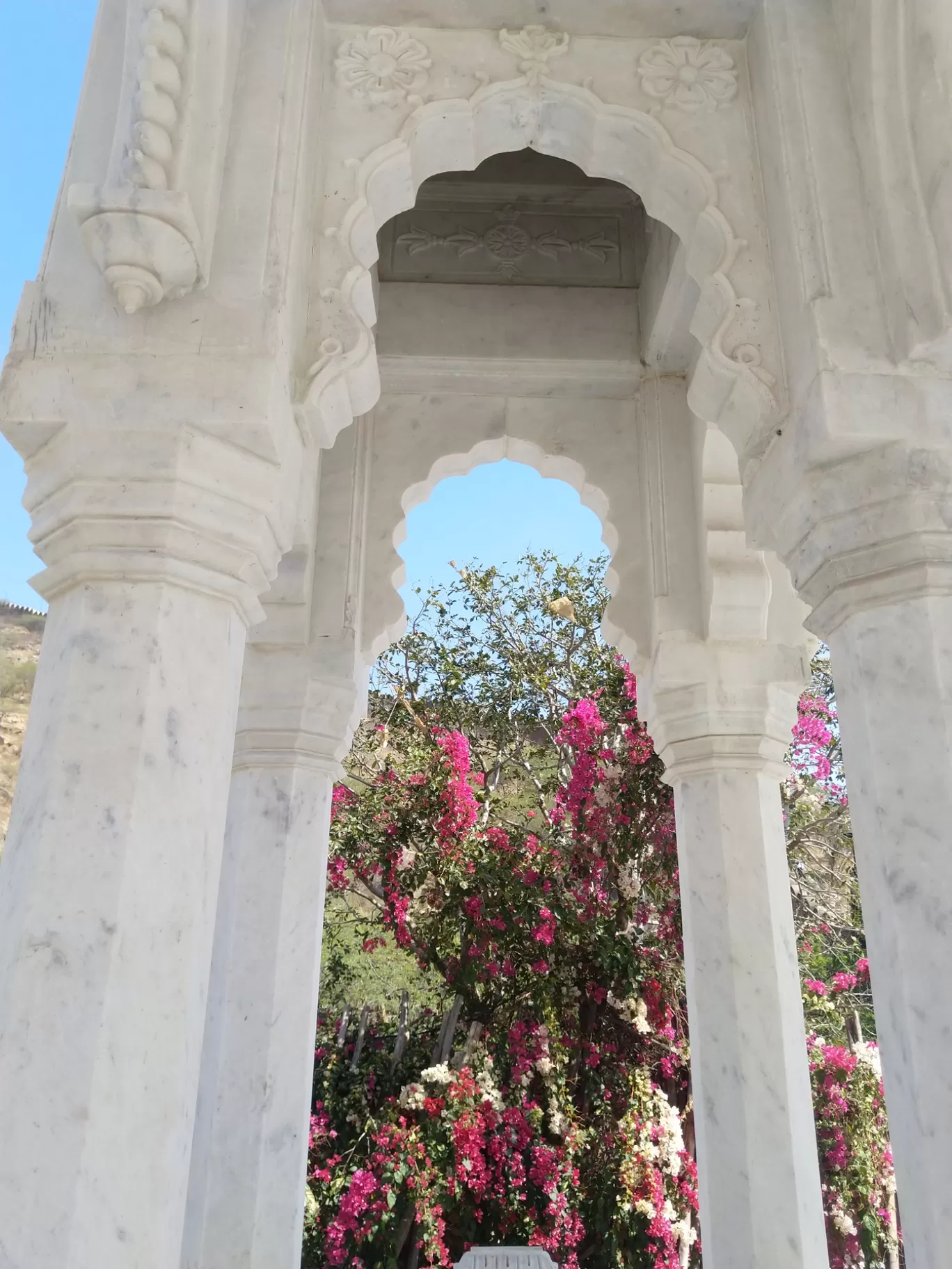 Photo of Gaitore Ki Chhatriyan By Krina Goswami