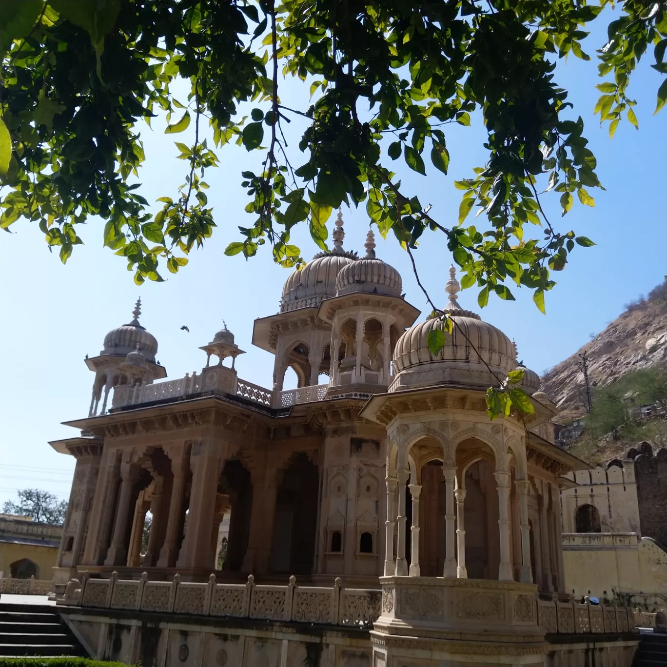 Photo of Gaitore Ki Chhatriyan By Krina Goswami