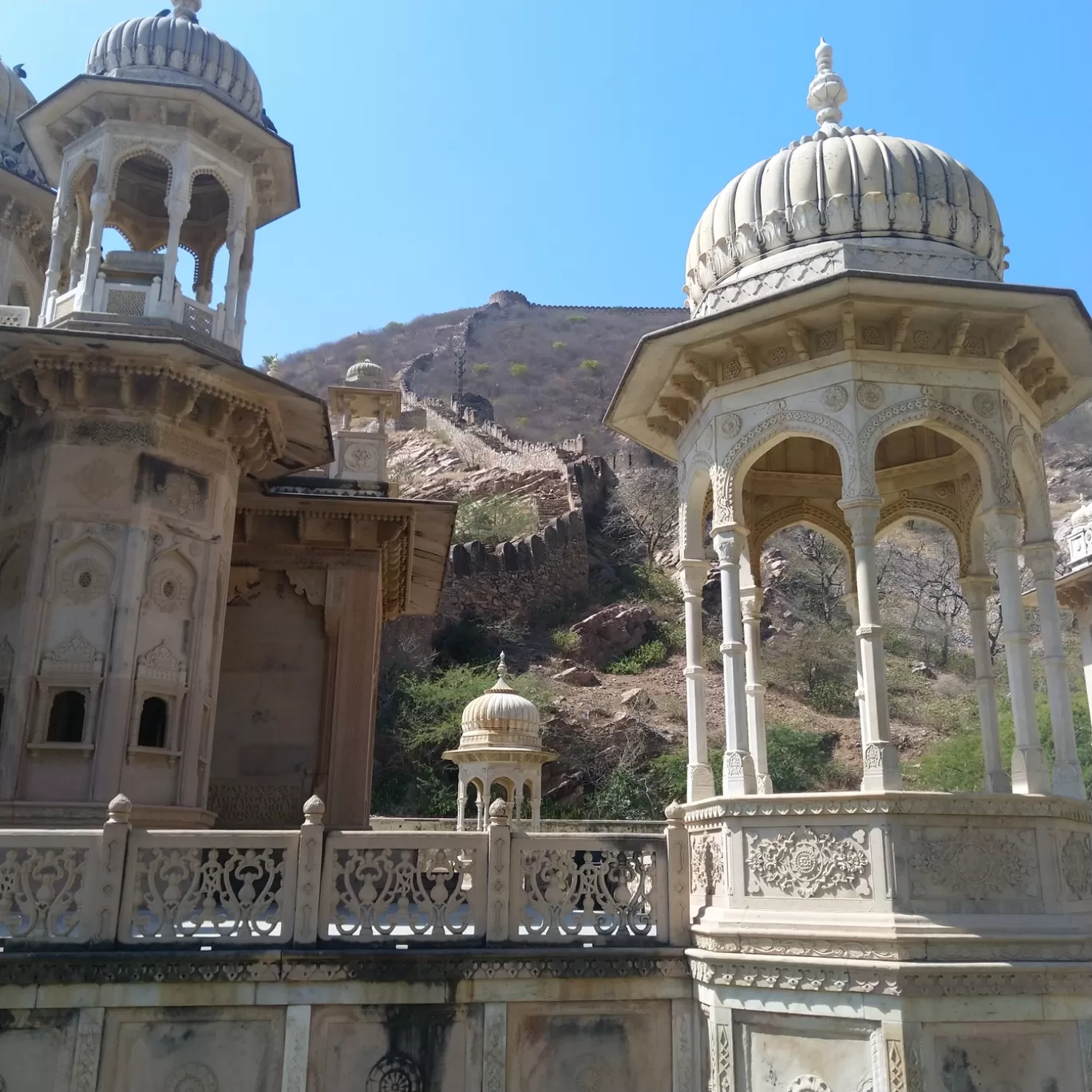 Photo of Gaitore Ki Chhatriyan By Krina Goswami