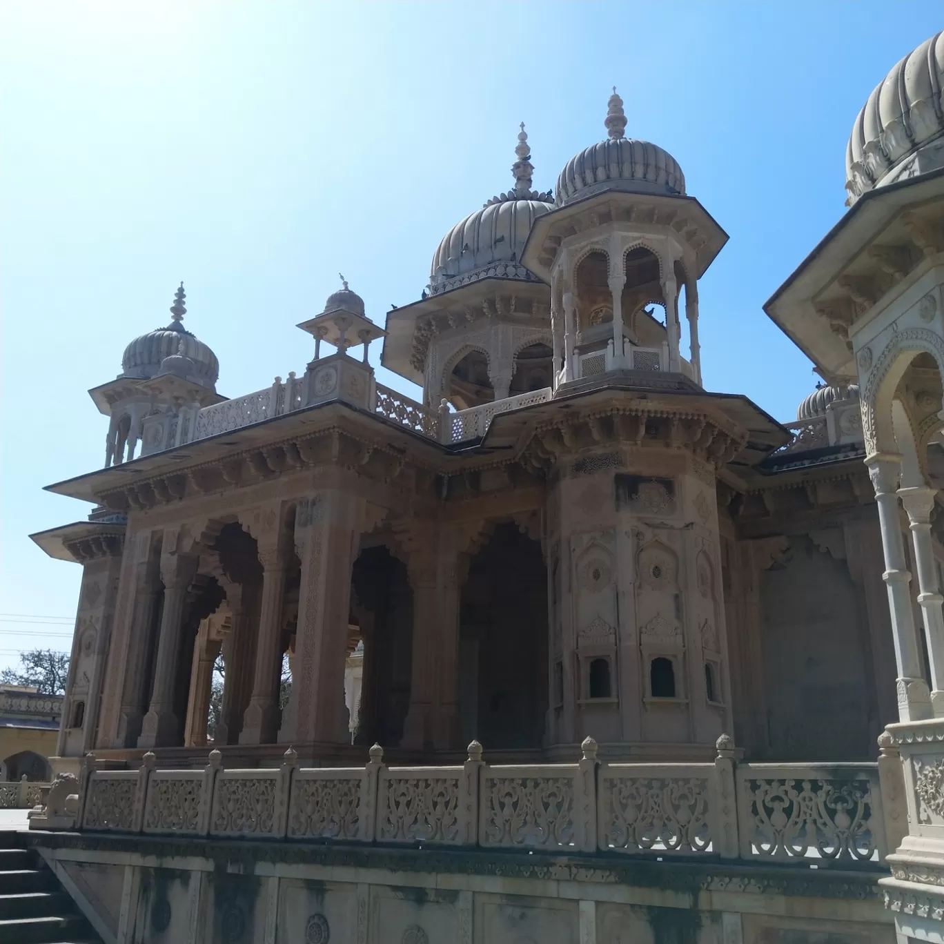 Photo of Gaitore Ki Chhatriyan By Krina Goswami
