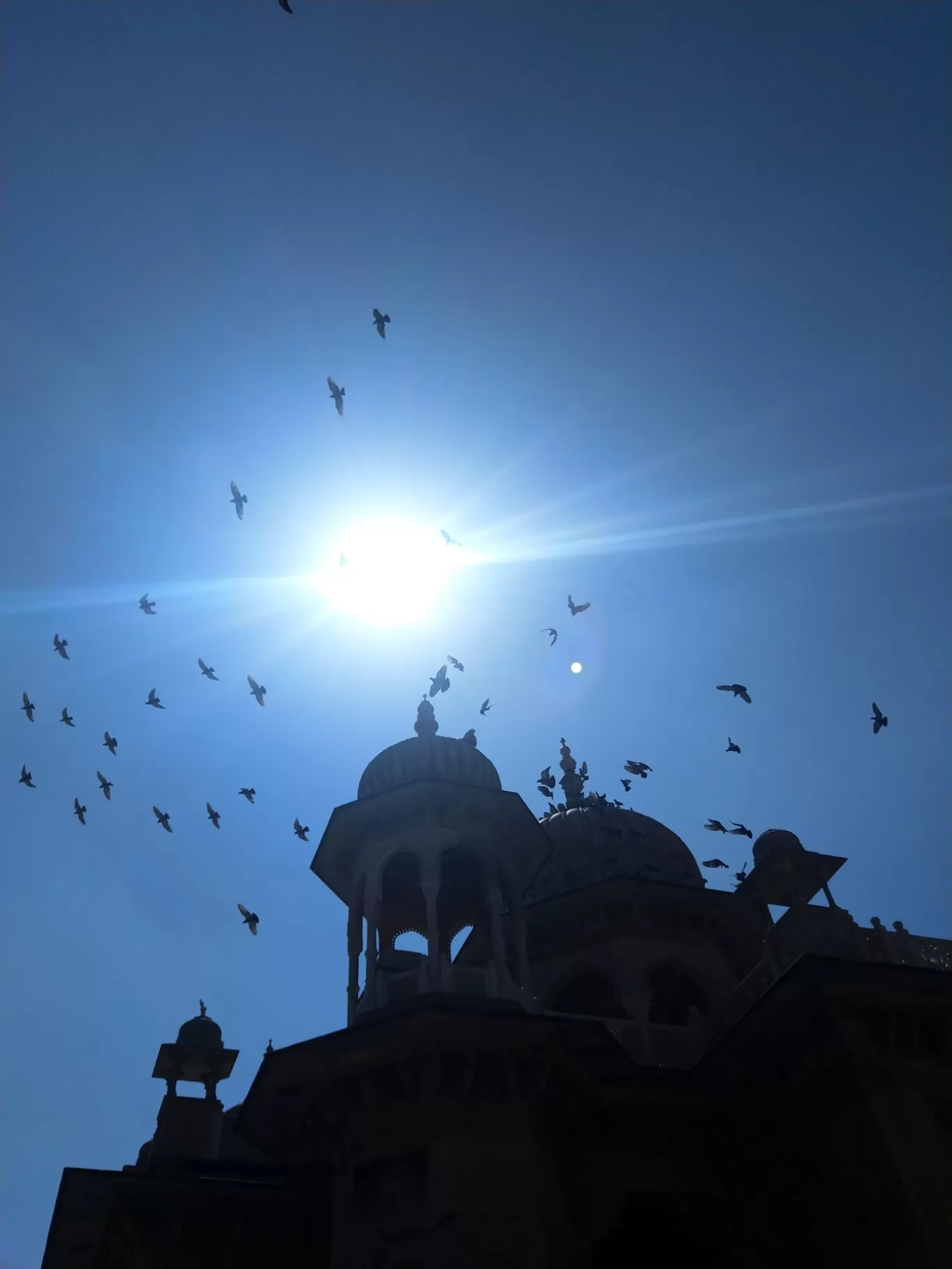 Photo of Gaitore Ki Chhatriyan By Krina Goswami