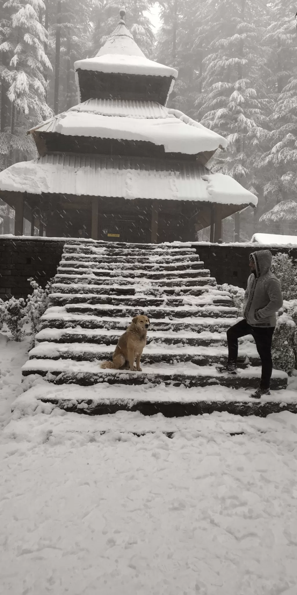 Photo of Manali By Sahil Saini