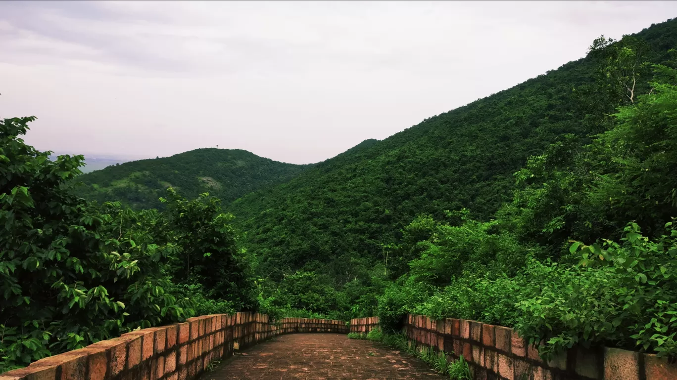 Photo of Barunei Hill By Nadugopal Bhuyan