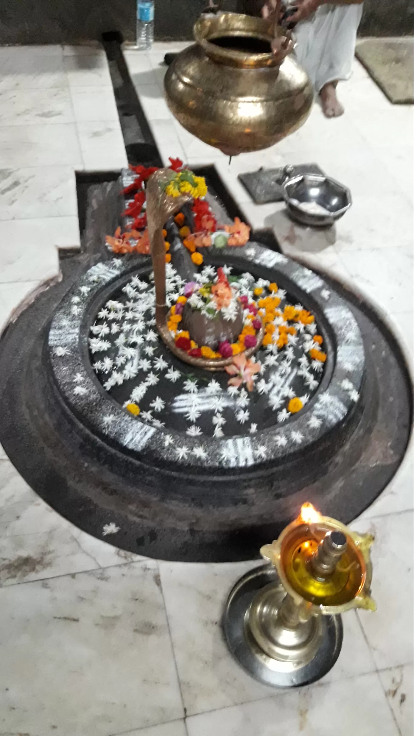 Photo of Tulapur By Dhiraj 