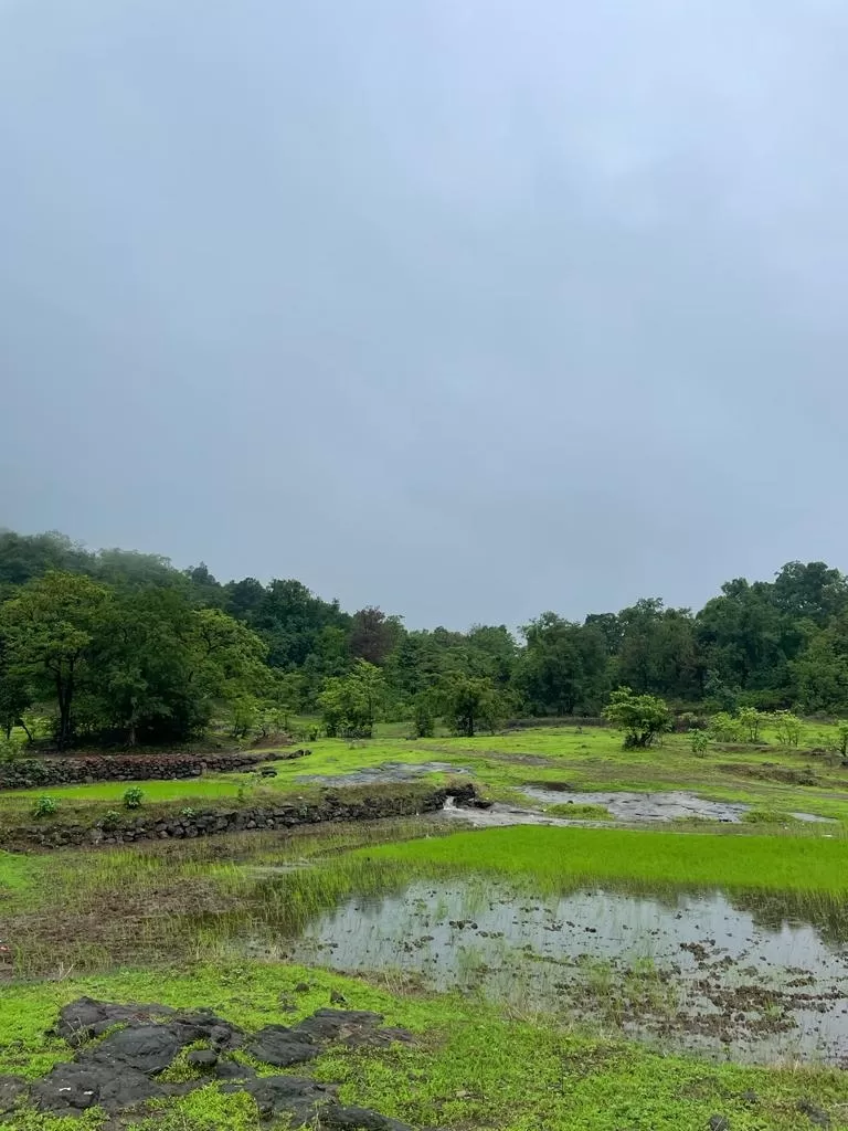 Photo of Kalu Water Falls By Dhiraj 