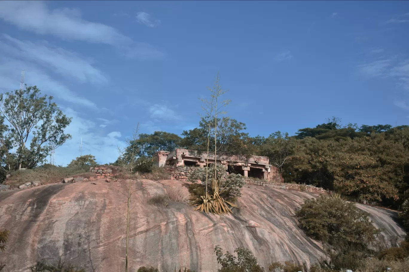 Photo of Devarayanadurga By Shruthi A S