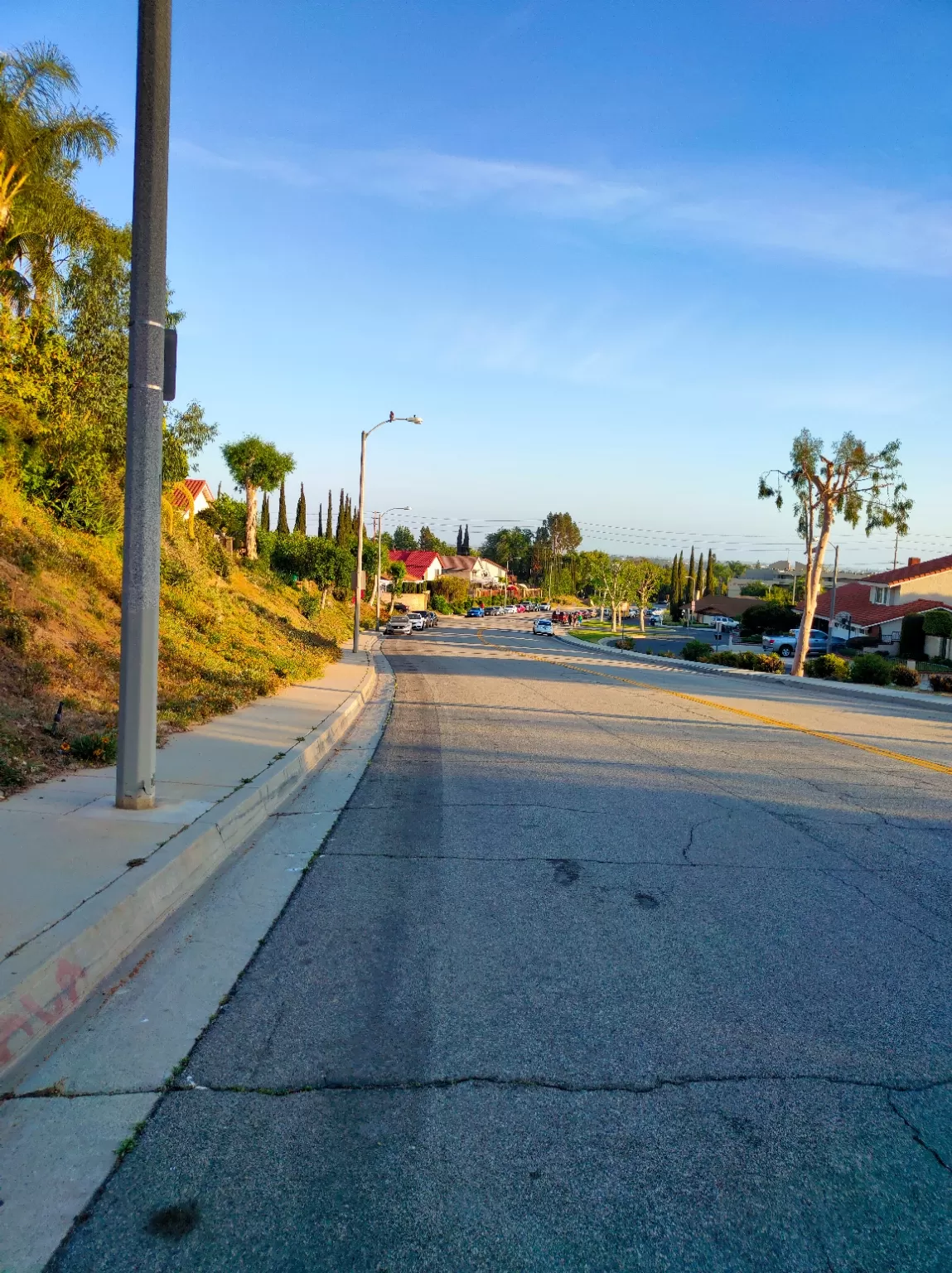 Photo of Los Angeles By Meenakshi Mohanty