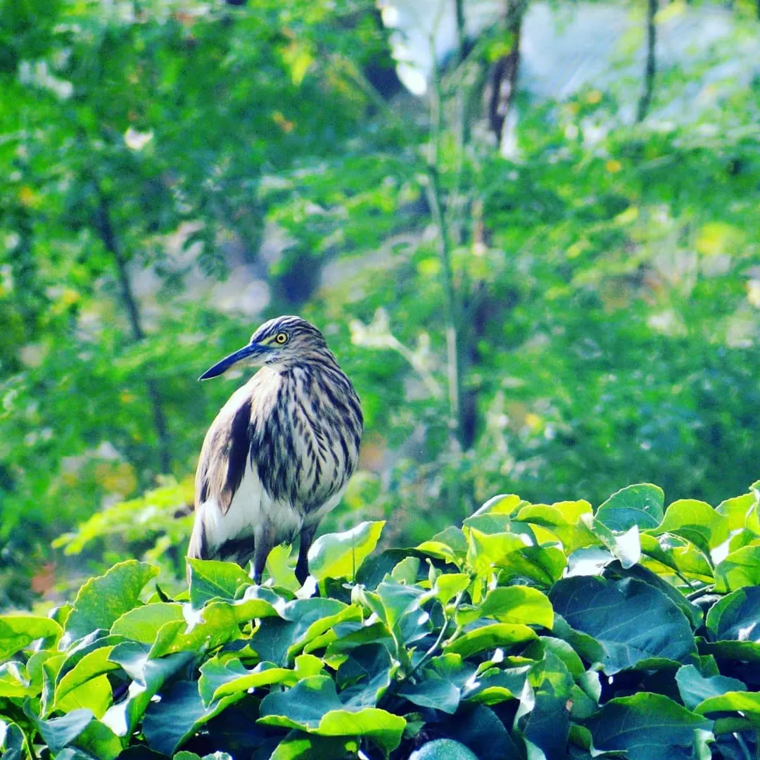 Photo of ECR Road By mohan munna