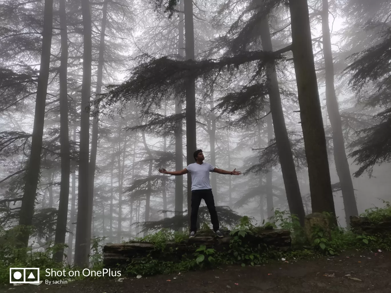 Photo of Chail By Inc Sachin