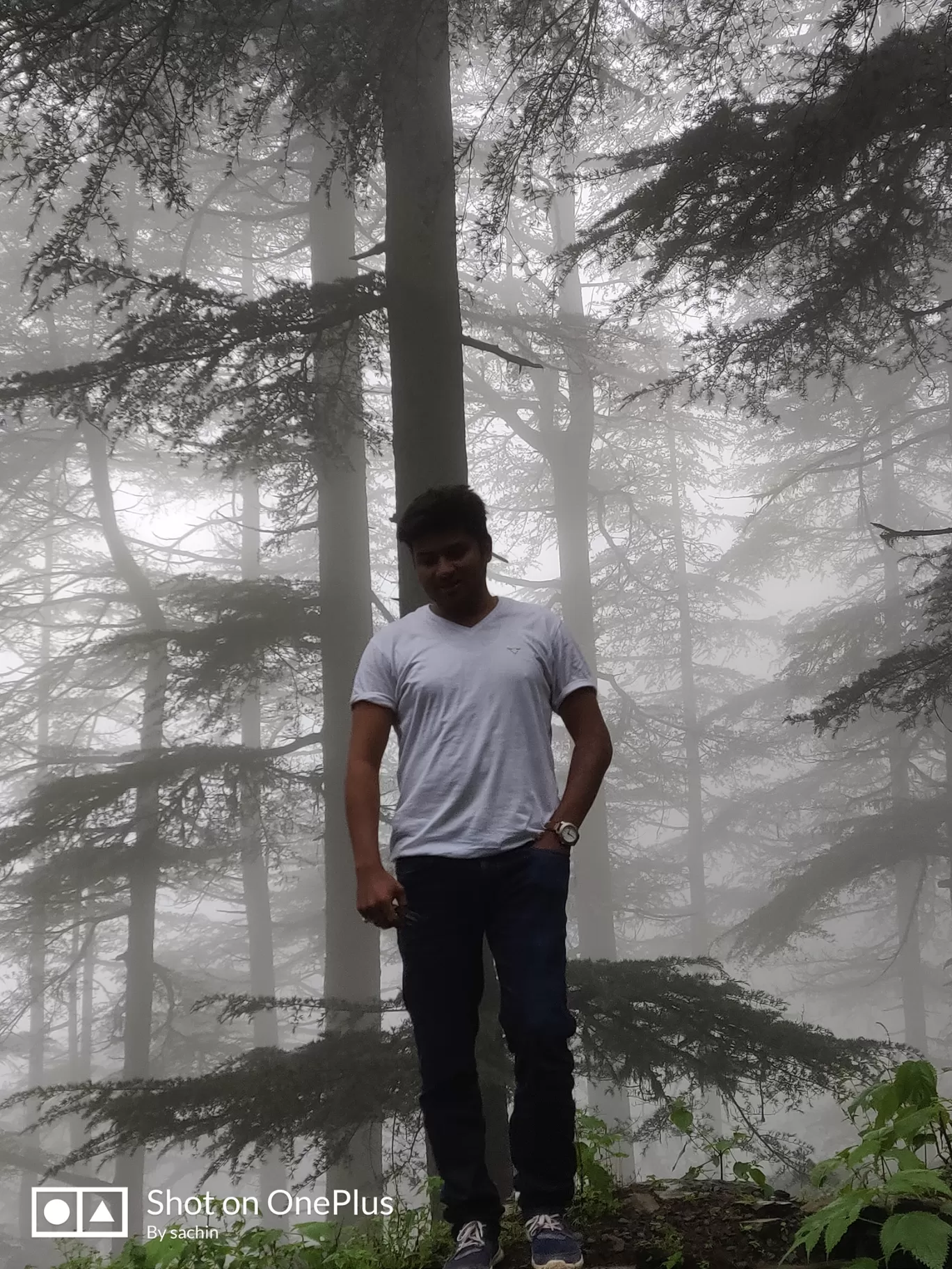 Photo of Chail By Inc Sachin