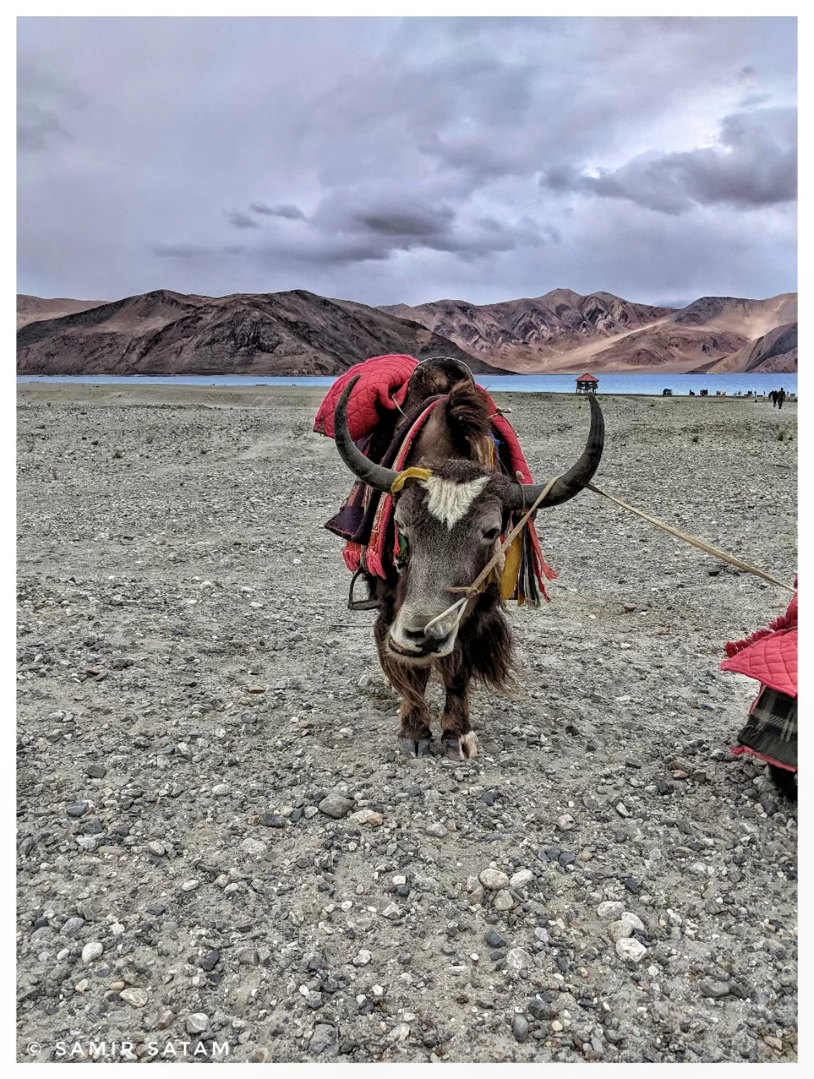 Photo of Ladakh By Samir Satam