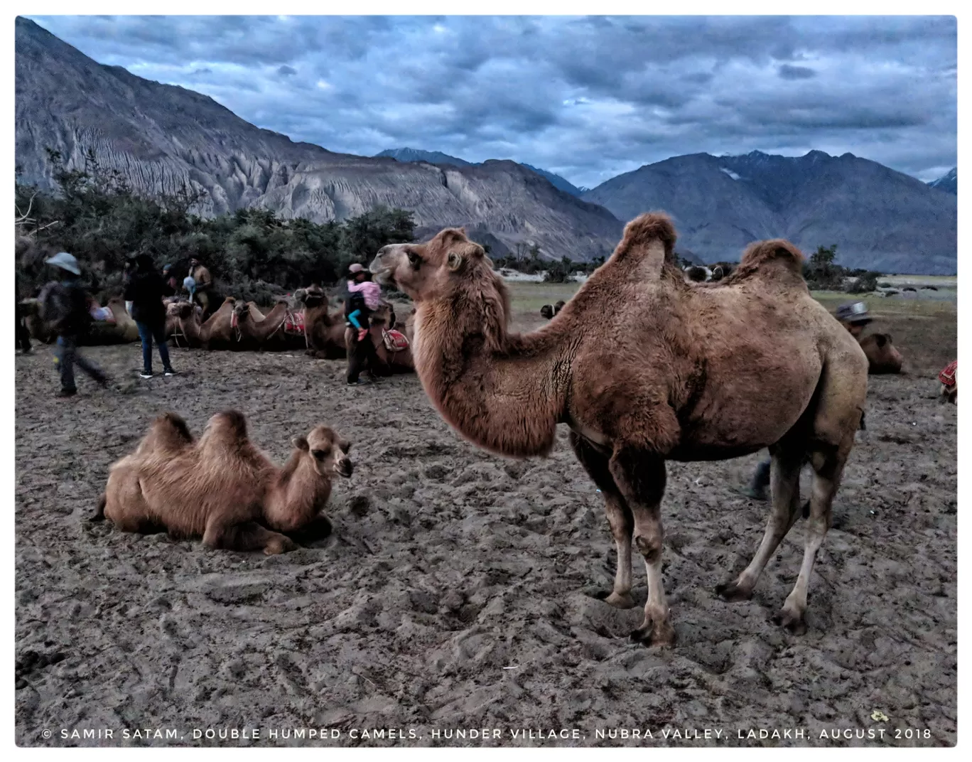 Photo of Ladakh By Samir Satam