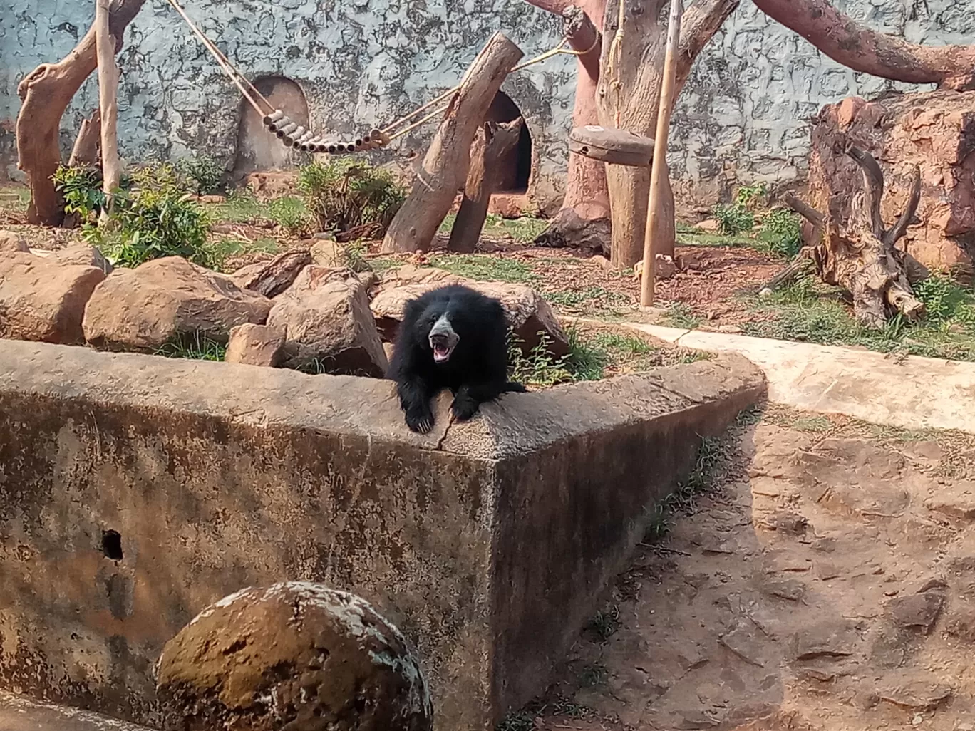 Photo of Nandankanan Zoological Park By Sweety Shukla