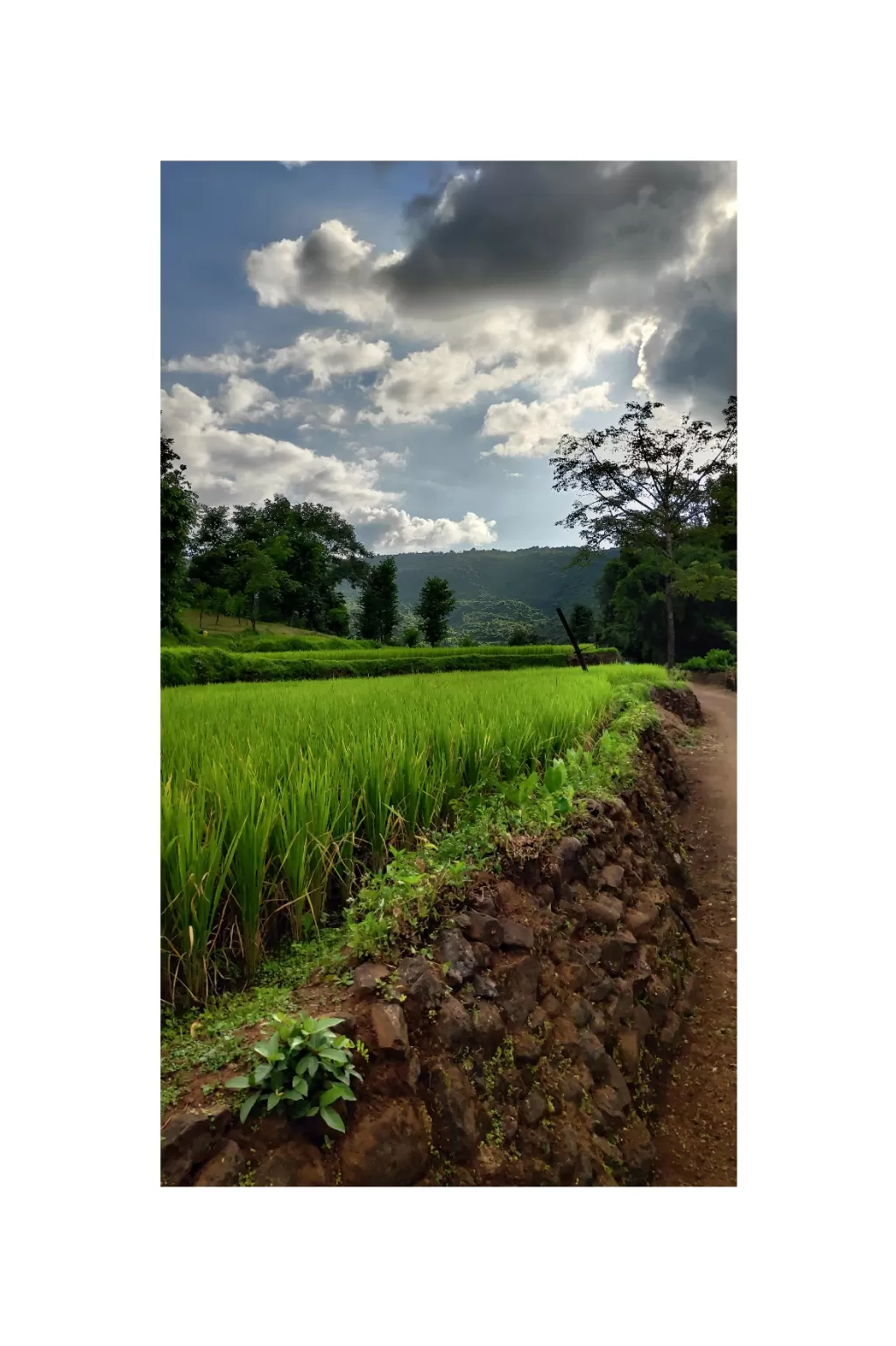 Photo of Chiplun By Tanmay Jadhav