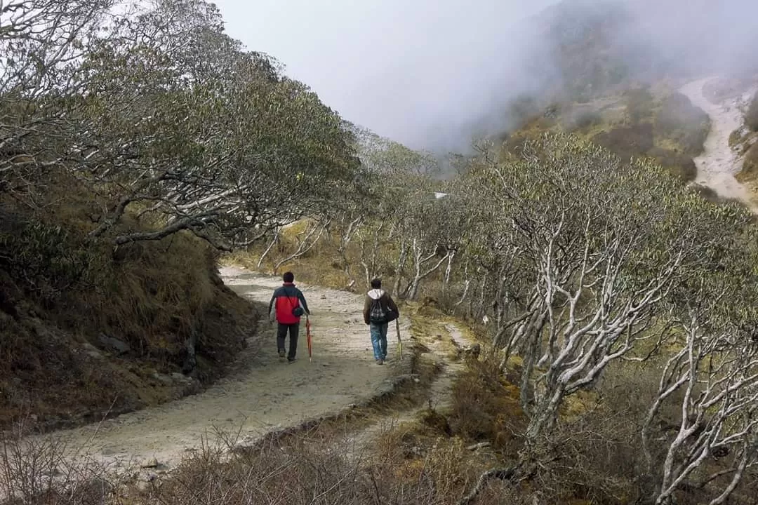Photo of Sandakphu By Joydeep Bhattacharyya