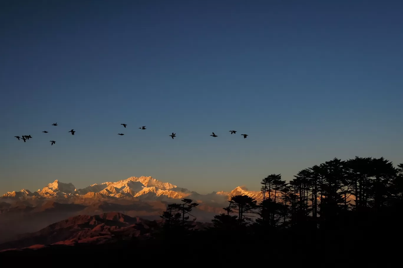Photo of Sandakphu By Joydeep Bhattacharyya
