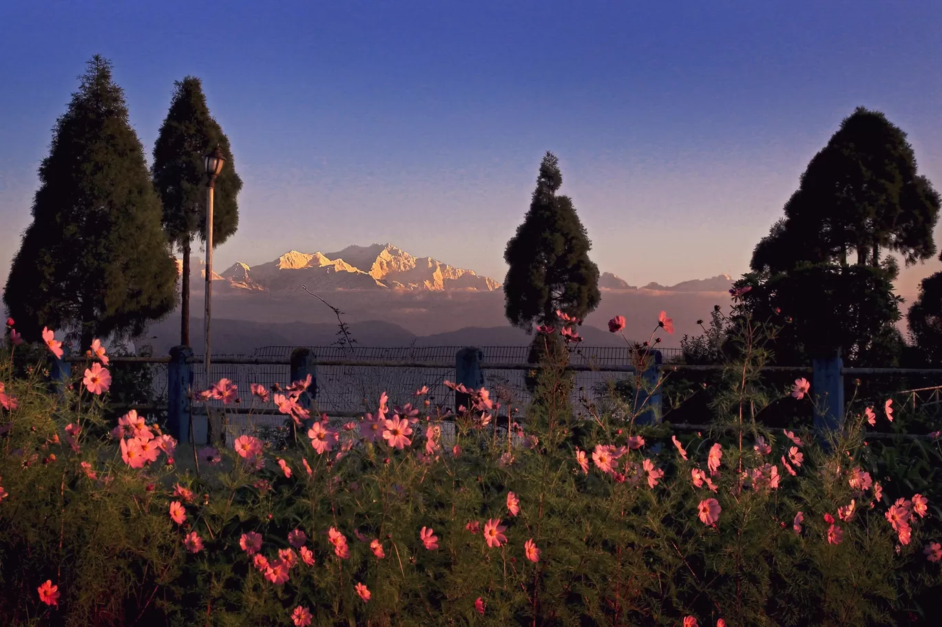 Photo of Sandakphu By Joydeep Bhattacharyya