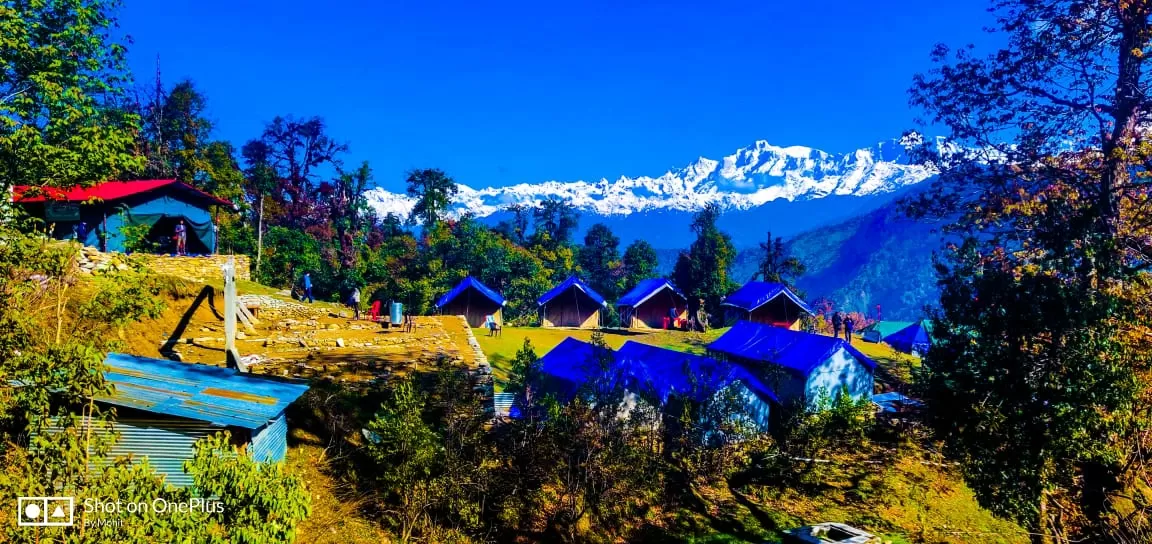 Photo of Chopta By Mohit Singh