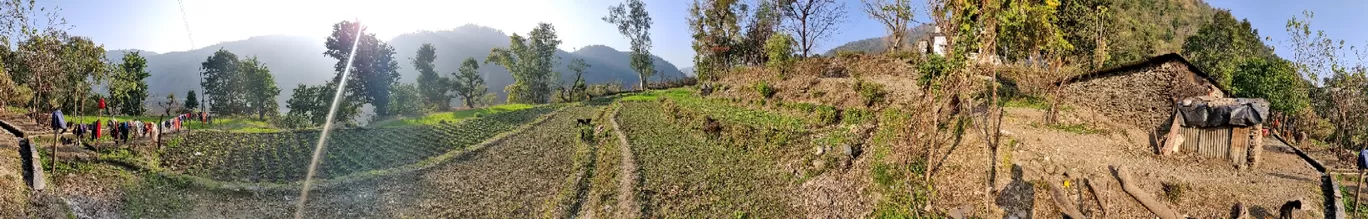 Photo of Maldevta Farms By Abhishek Thapliyal