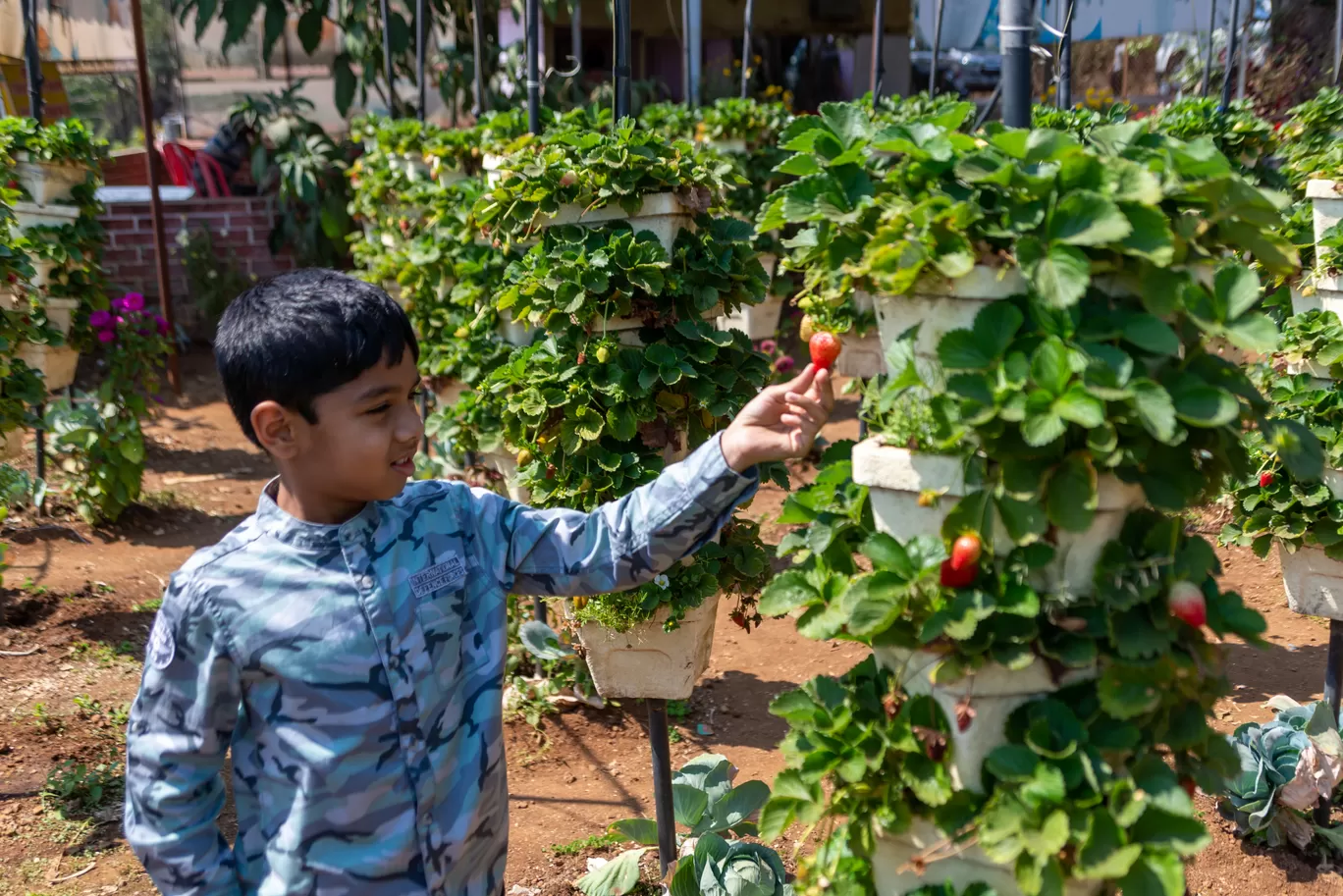 Photo of Mahabaleshwar By What's Abhi Doing
