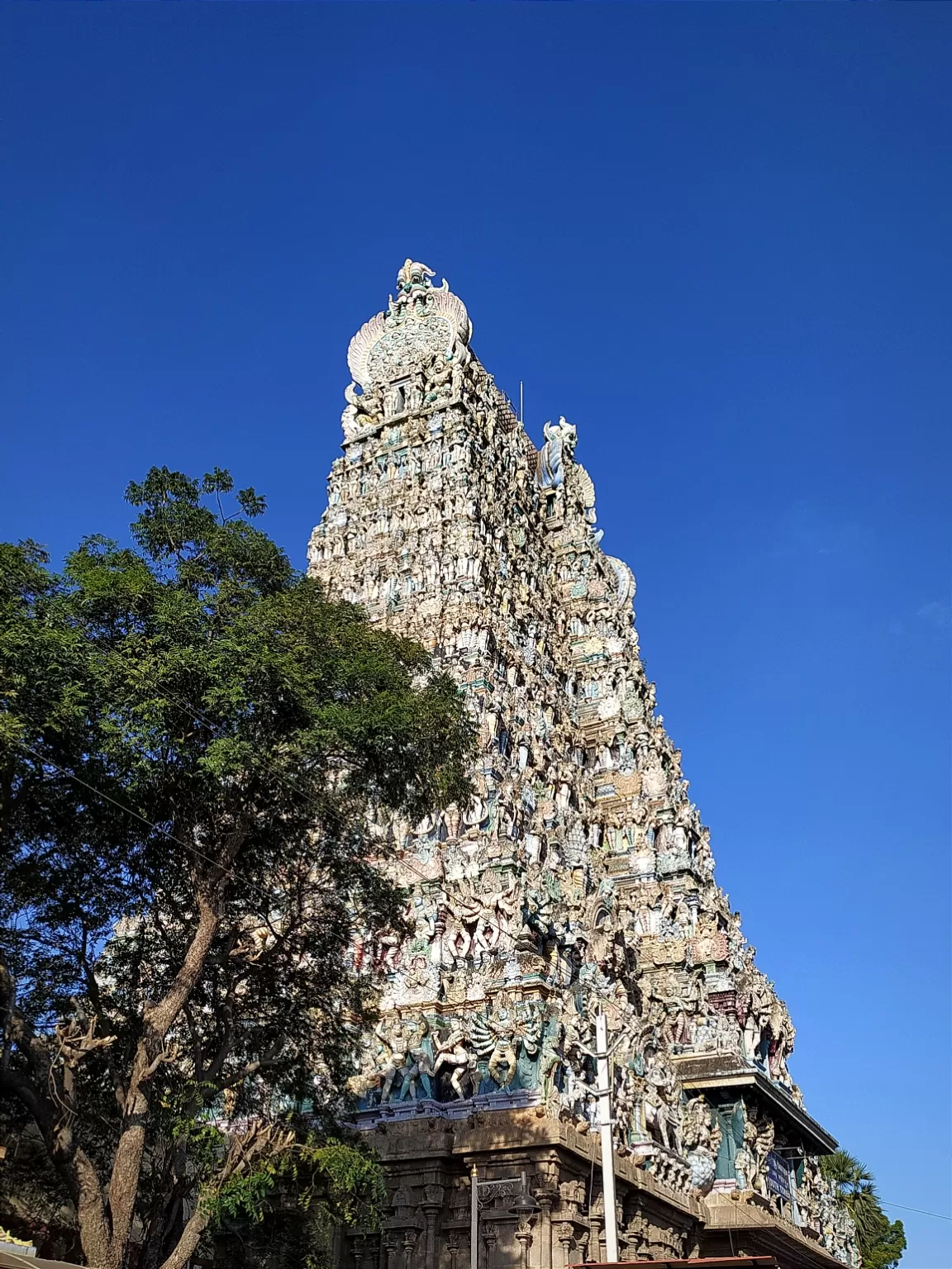 Photo of Meenakshi Amman Temple By Yashaswi Pathak