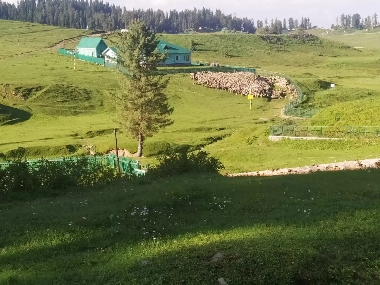 Photo of Gulmarg By Beenish Wani