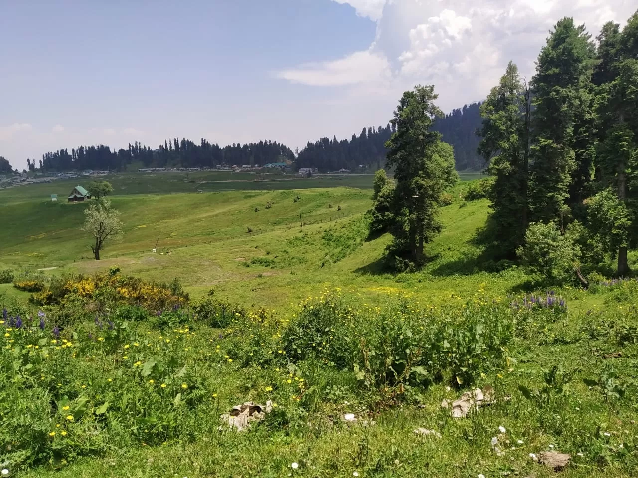 Photo of Gulmarg By Beenish Wani