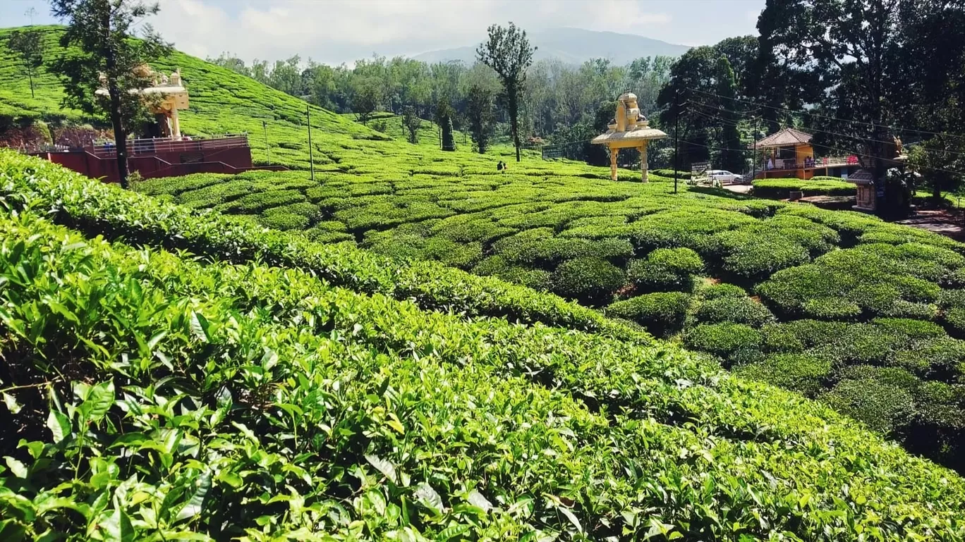 Photo of Kudremukh By Vinod mestha