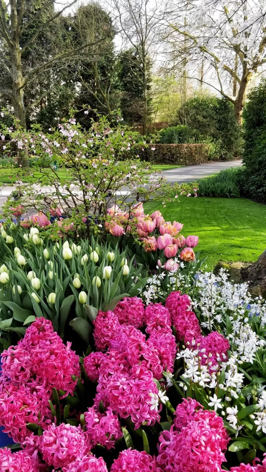 Photo of Keukenhof HOLLAND By Paresh Purohit