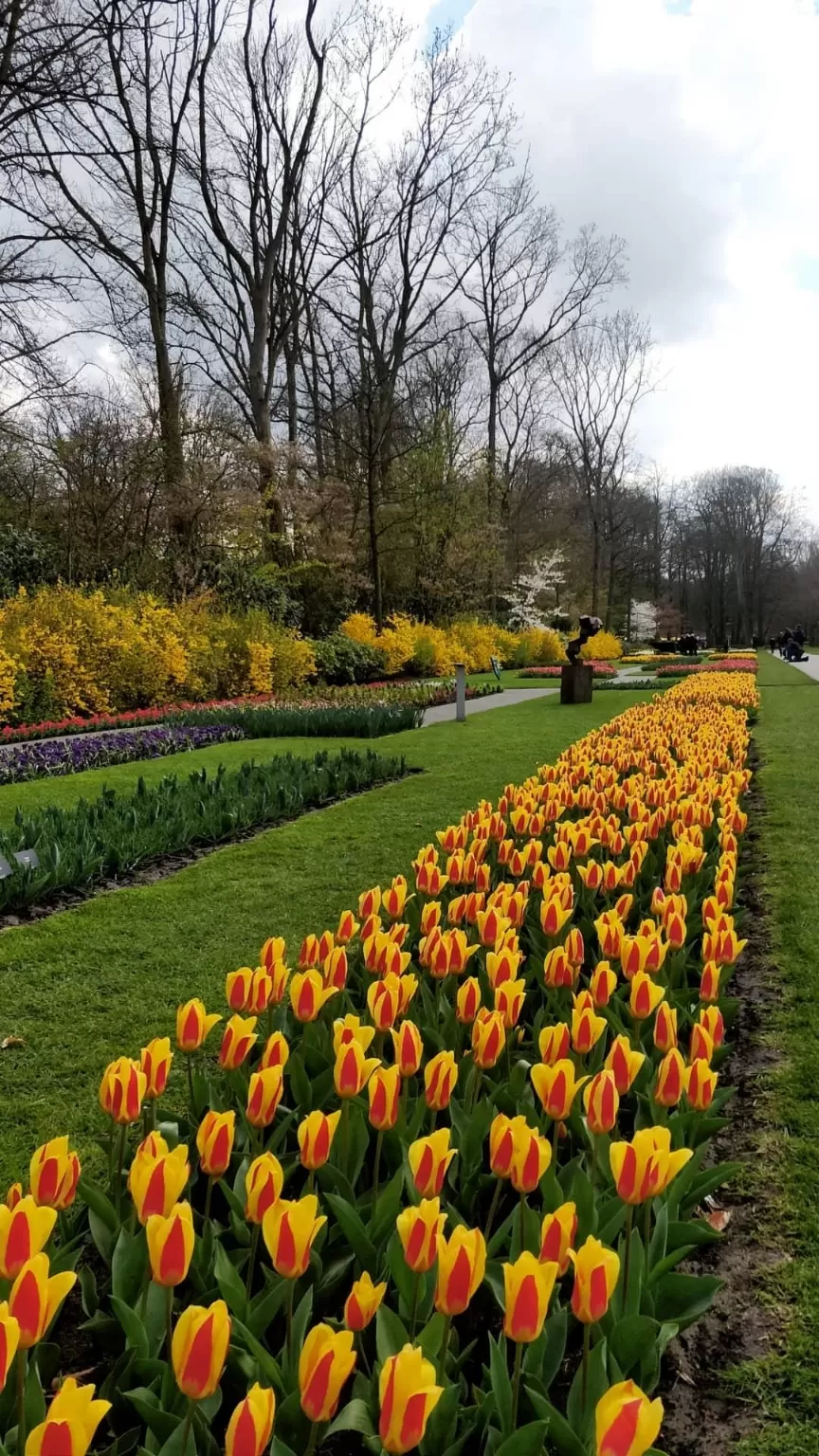 Photo of Keukenhof HOLLAND By Paresh Purohit