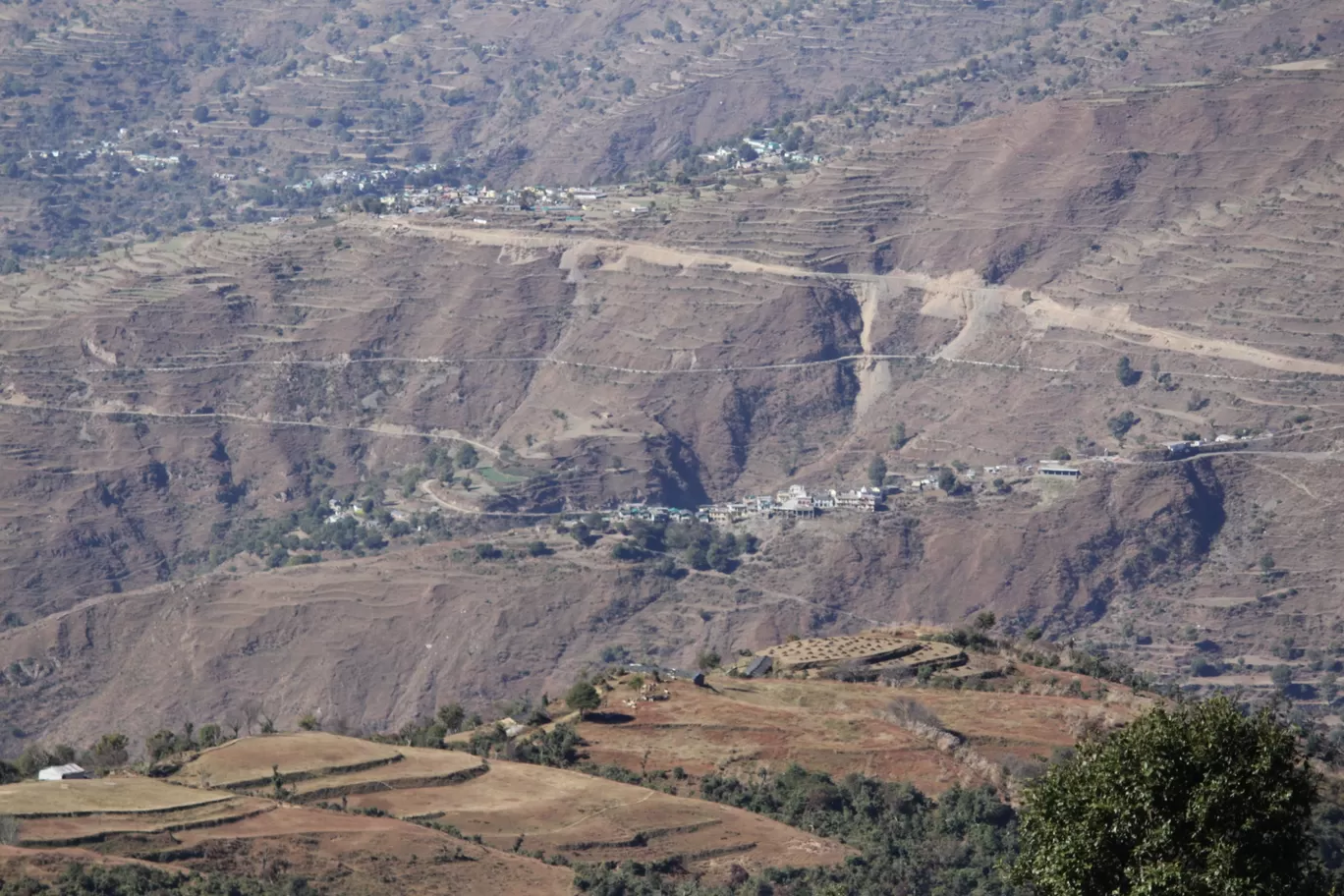 Photo of Nagtibba Trek/ Trekking By Travel Yogi