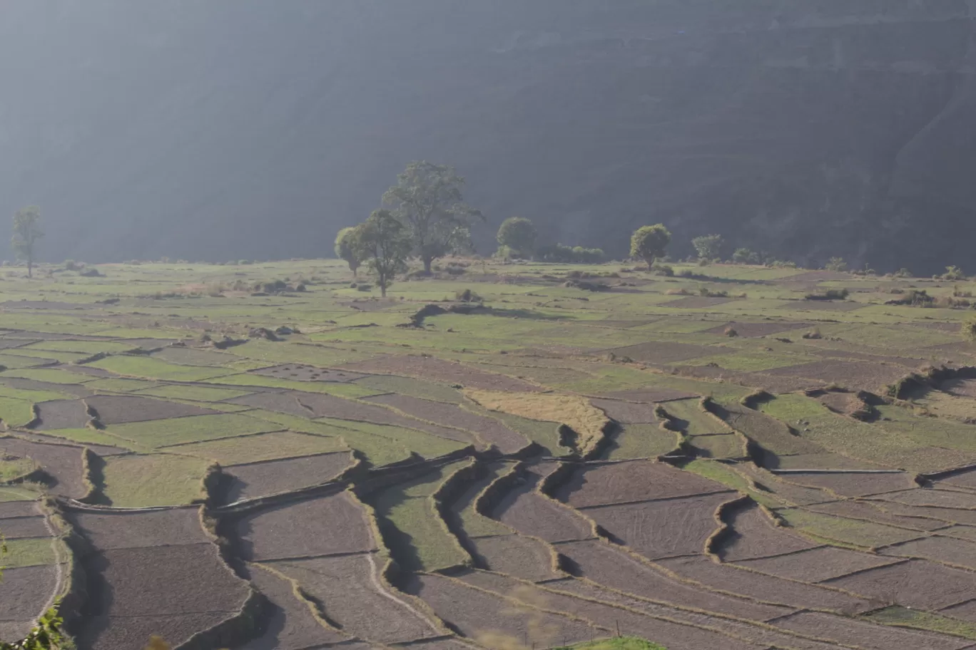 Photo of Nagtibba Trek/ Trekking By Travel Yogi