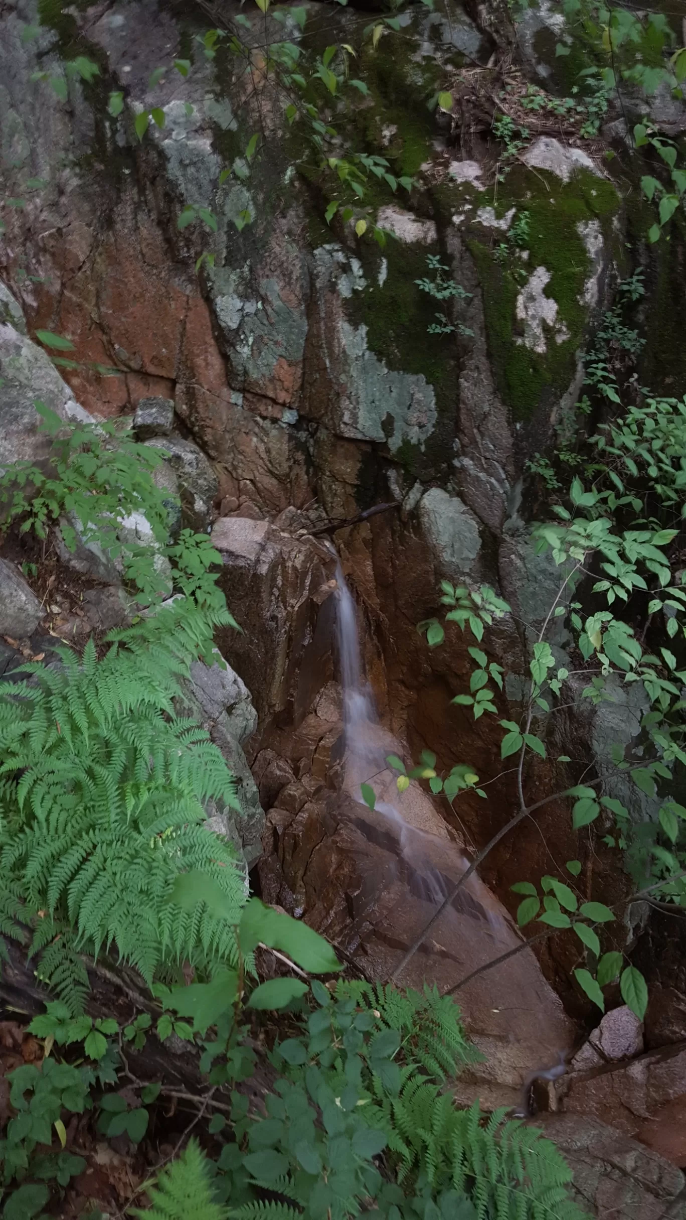 Photo of Bukhansan National Park By Travel Yogi