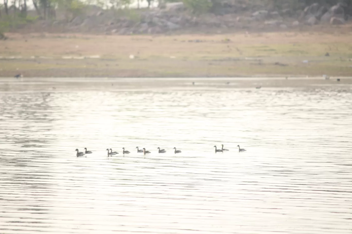 Photo of Osman Sagar By Travel Yogi