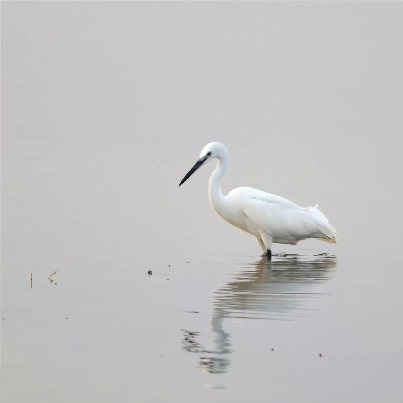 Photo of Osman Sagar By Travel Yogi