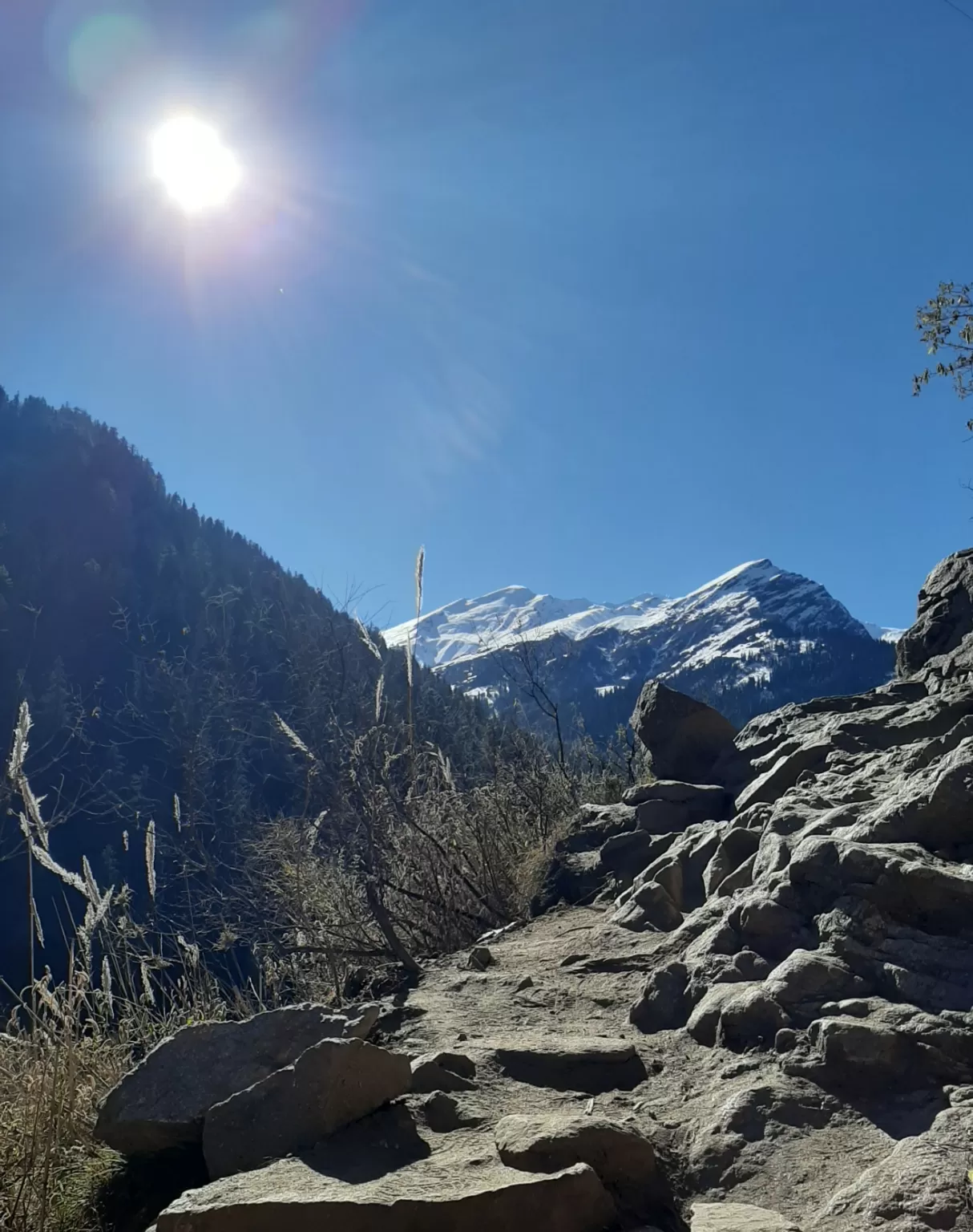 Photo of Kheerganga Trek By sumit kamal